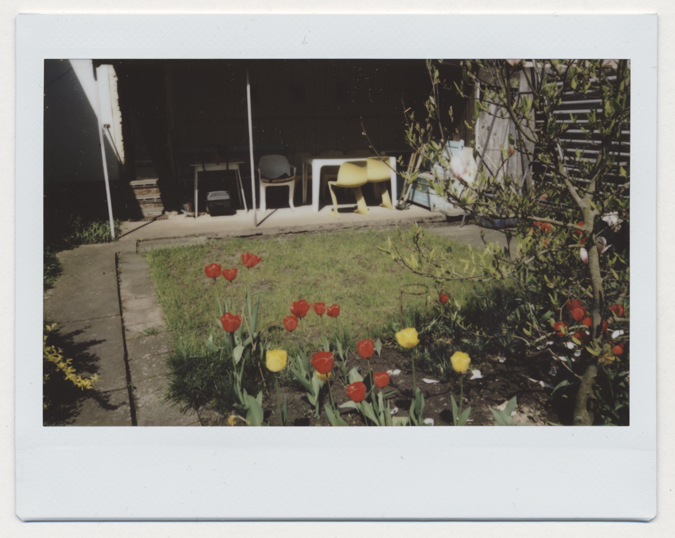 Fotoserie"Die letzten Tage im August"